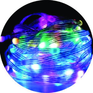 Pisca Pisca Mangueira Led