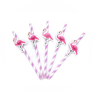 Canudo de Papel Flamingo